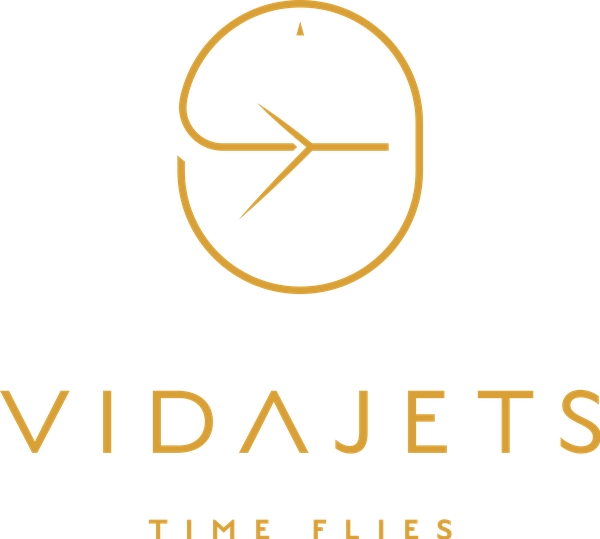 Vida Jets logo
